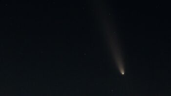 Image ID: 520