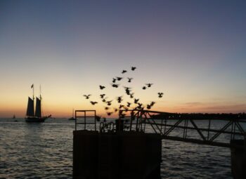 Key West Sunset Celebration