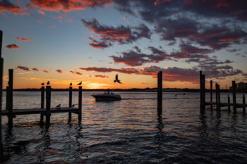 With bird and boat